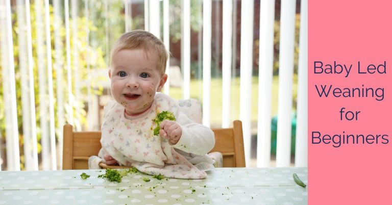 baby led weaning