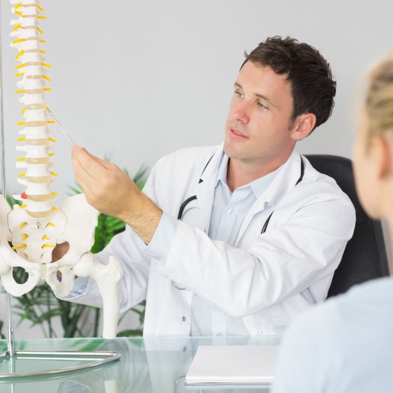 Chiropractor showing a patient a spine model.